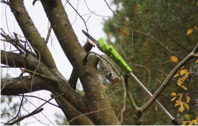 Сучкорез Greenworks G40PSF