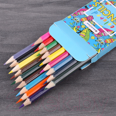 Набор цветных карандашей Darvish DV-4800-18