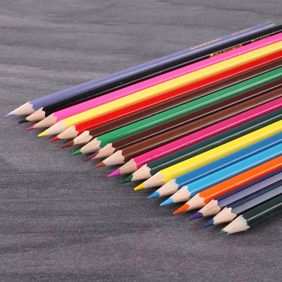 Набор цветных карандашей Darvish DV-4800-18