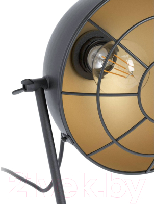 Декоративное освещение Eglo Treburley 43185