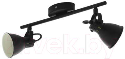 Спот Eglo Seras 98398 - фото