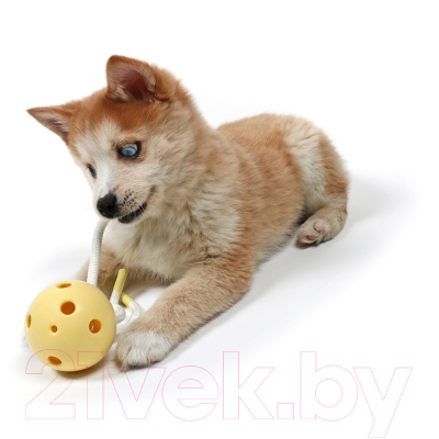 Игрушка для собак Petit Milo 309/449486