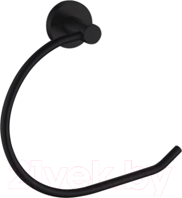 Держатель для полотенца Aquanet 4580MB - фото