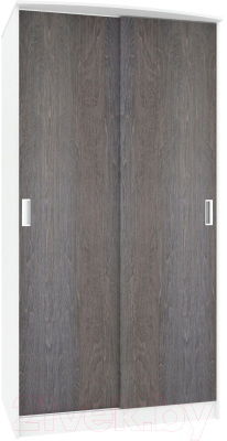 Шкаф Кортекс-мебель Лагуна ШК01-00 - фото