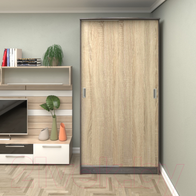 Шкаф Кортекс-мебель Лагуна ШК01-00