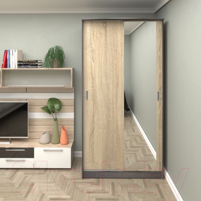 Шкаф Кортекс-мебель Лагуна ШК01-01