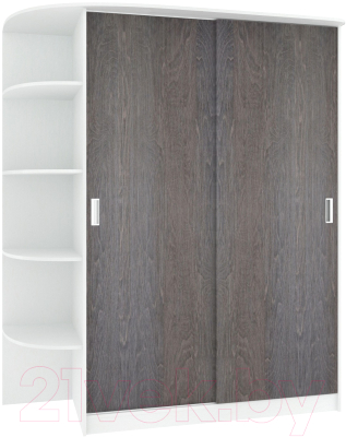 Шкаф-купе Кортекс-мебель Лагуна ШК05-00 - фото