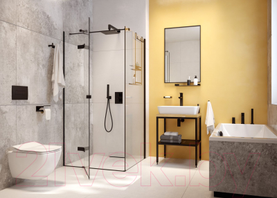 Держатель для туалетной бумаги Deante Mokko Nero ADM N221