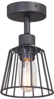 Потолочный светильник Vitaluce V4589-1/1PL - фото