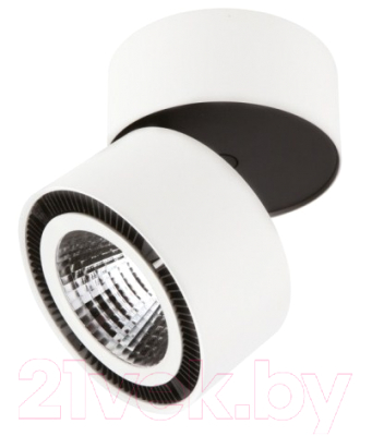 Точечный светильник Lightstar Forte Muro 213816 - фото