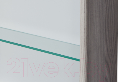 Шкаф с зеркалом для ванной Акватон Сильва 50