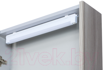 Шкаф с зеркалом для ванной Акватон Сильва 50