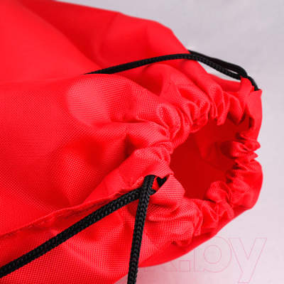 Мешок для обуви Darvish DV-1252