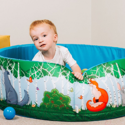 Сухой бассейн Romana Зверята ДМФ-МК-02.52.02