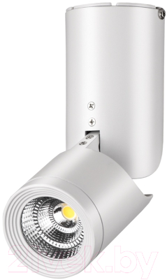 Спот LuminArte SPOT02-CLL10W-WH - фото