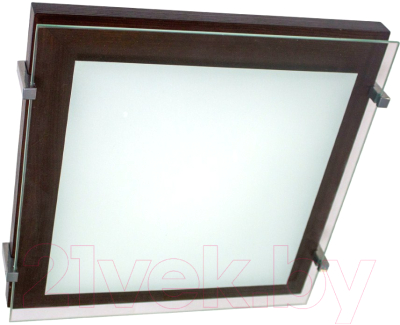 Потолочный светильник Элетех Полесье 300х300 НПБ 09-2х40-001 М94 - фото