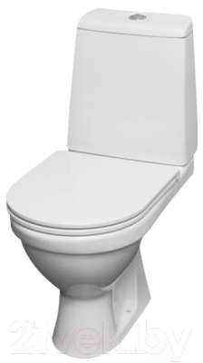 Унитаз напольный RedBlu by Damixa Origin Evo 2 788607SC - фото