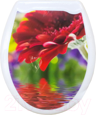 Сиденье для унитаза Еврокомфорт Красная гербера 104-406-00 - фото