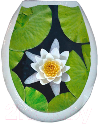 Сиденье для унитаза Еврокомфорт Кувшинки 104-406-00 - фото