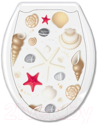 Сиденье для унитаза Еврокомфорт Ракушка на белом 104-406-00 - фото