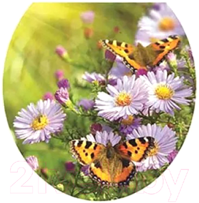 Сиденье для унитаза Еврокомфорт Ромашки 103-311-01В12 - фото