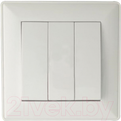 Выключатель КС Дабрабыт СП 10А / 74868 - фото