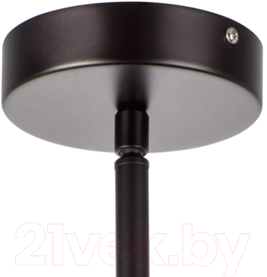 Потолочный светильник Lightstar Amerigo 746068