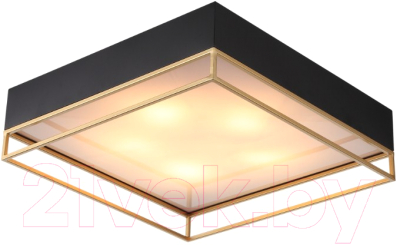 Потолочный светильник ST Luce Chodo SL1127.422.05 - фото