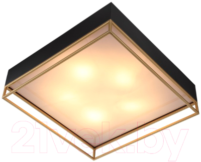 Потолочный светильник ST Luce Chodo SL1127.422.05