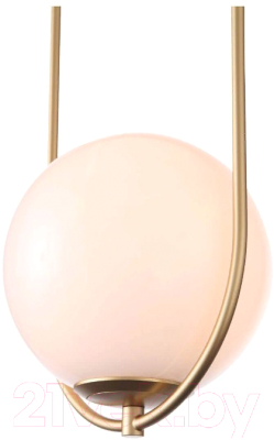 Потолочный светильник ST Luce Penolo SL1118.203.01