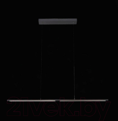 Потолочный светильник ST Luce Ralio SL1580.403.01