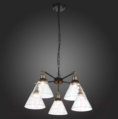 Люстра ST Luce Evoluto SL237.413.05