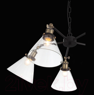 Люстра ST Luce Evoluto SL237.413.05