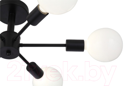 Люстра ST Luce Ano SL419.402.06