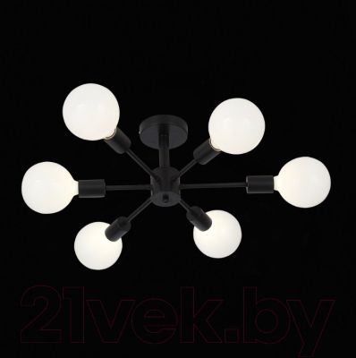 Люстра ST Luce Ano SL419.402.06