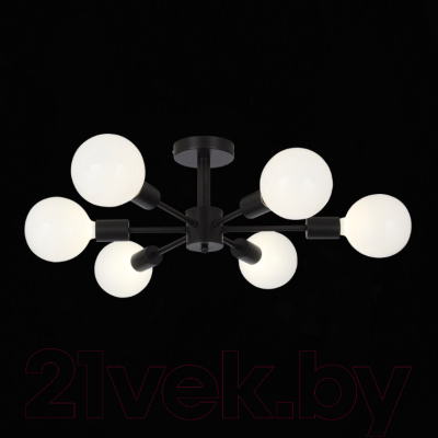 Люстра ST Luce Ano SL419.402.06