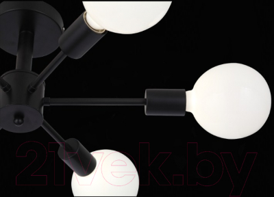 Люстра ST Luce Ano SL419.402.06