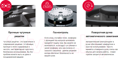 Плита газовая Hansa FCMX68022