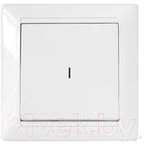 Выключатель Bylectrica Стиль С1 10-813 - фото