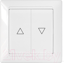 Выключатель Bylectrica Стиль С4 10-890 - фото