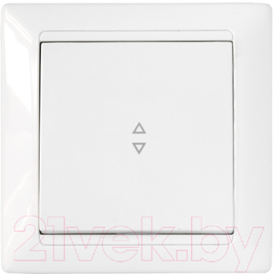 Выключатель Bylectrica Стиль С6 10-807 - фото