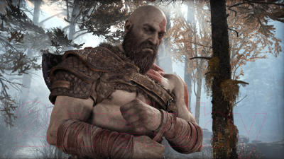 Игра для игровой консоли PlayStation 4 God of War