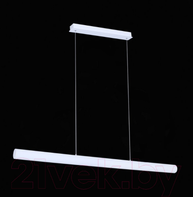 Потолочный светильник ST Luce Bacheta SL439.503.01