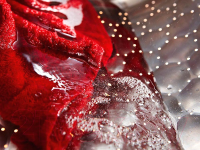 Стиральная машина Miele WWD 120 WCS / 11WD1201RU