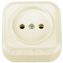 Розетка Bylectrica Вариант РА16-0101 - фото