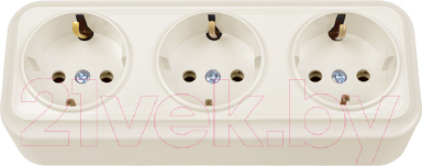 Розетка Bylectrica Вариант РА16-0162 - фото