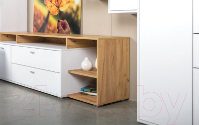 Тумба Mobi Бэль 10.92 (белый премиум/дуб золотой Craft)
