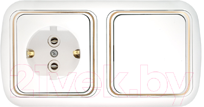 Блок выключатель+розетка Bylectrica Гармония Люкс В-РЦ-495 з - фото