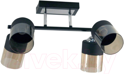 Люстра Элетех Софи 4-А НПБ 01-4x60-122 Е27 / 1005404348 - фото