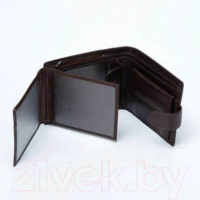 Портмоне Sanwei 827-2006-A-BRW